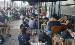 Điện lực Gia Lai khẩn trương khắc phục sự cố mất điện