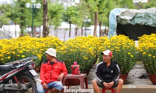 Hoa Tết phủ kín đường phố Quy Nhơn, tiểu thương thấp thỏm chờ khách