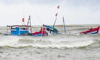 Tàu cá Việt Nam bị tàu Hàn Quốc đâm chìm, thuyền trưởng mất tích