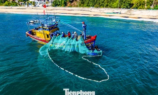 Có gì ở Nhơn Lý - nơi được đề xuất xây dựng cảng cá kết hợp du lịch? 