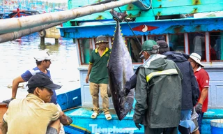 Xuyên Tết bám biển, ngư dân kể chuyện đón giao thừa giữa trùng khơi