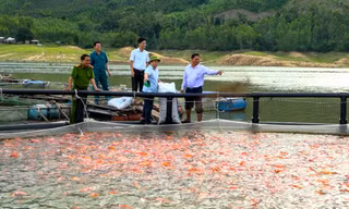 Gắn bó ‘sông nước’, nông dân miền núi ở Gia Lai vươn lên thoát nghèo
