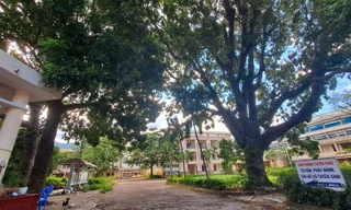 Khu ‘đất vàng’ trên tuyến đường ven biển giá khởi điểm hơn 1.100 tỷ đồng