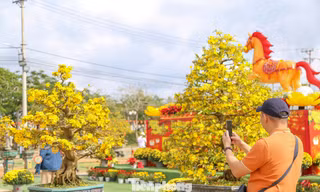 Hương sắc mùa xuân ở Gia Lai