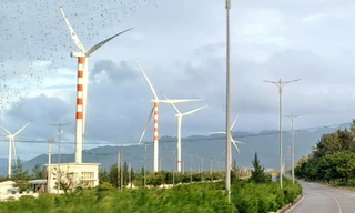 Gia Lai bổ sung nhiều khu đất cho dự án điện gió, điện mặt trời