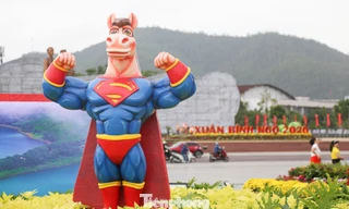 Ngựa 'mặt cộc' cầm iPhone 17, ngựa 'Superman' gây sốt 