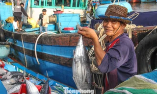 Xem ngư dân khui hầm, bán ‘lộc biển’ đầu năm