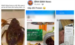 Làm rõ việc con gián xuất hiện trong món ăn tại một nhà hàng ở Quy Nhơn