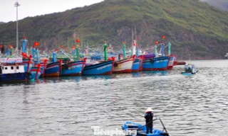 Gia Lai siết chặt chống khai thác IUU: Phân công đảng viên giám sát từng tàu cá