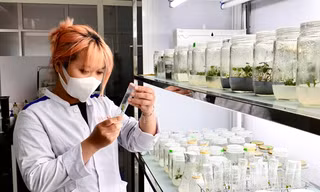 ĐH Duy Tân đào tạo ngành Công nghệ Sinh học và Dược sĩ Đại học tích hợp các đồ án nghiên cứu