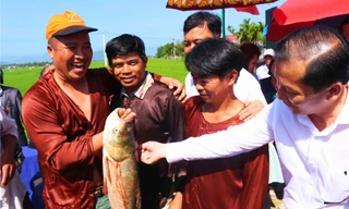 Thi úp nơm bắt cá trên quê hương cố Thủ tướng Phạm Văn Đồng