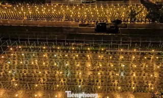 Nông dân Đà Nẵng chong đèn xuyên đêm chăm vụ hoa Tết