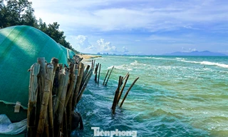 Đà Nẵng: Biển xâm thực, sóng 'ngoạm' bờ uy hiếp từng ngày 