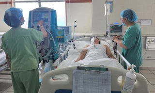 Huế ghi nhận 42 ca bệnh, 4 trường hợp tử vong do liên cầu lợn