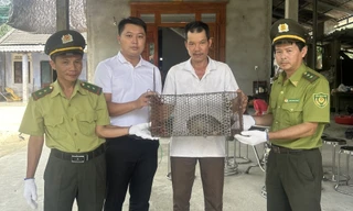 Người dân Huế giao nộp con vật hoang dã cực kỳ quý hiếm