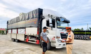 Phát hiện gần 30 tấn đường và lượng lớn gỗ không rõ nguồn gốc