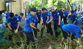Thanh niên Huế ra quân Ngày Chủ nhật xanh 