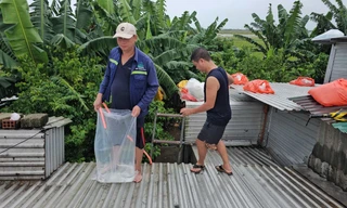 Túi ni lông và ống dẫn nước được đưa lên mái nhà một cách dễ dàng, thuận tiện hơn việc khuân vác bao cát, bờ lô giằng giữ tấm lợp.