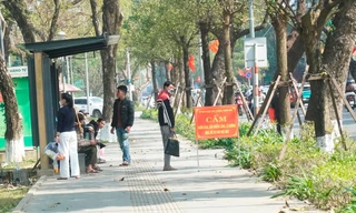 Huế nỗ lực ‘giành’ lại vỉa hè cho người đi bộ, du khách