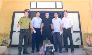 Cứu khỉ mặt đỏ mắc bẫy bị hoại tử một chân