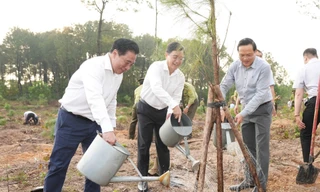 Huế kêu gọi người người trồng cây, nhà nhà trồng cây dịp đầu năm mới