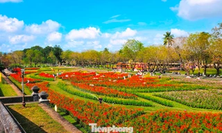 Ngắm vườn Xuân lộng lẫy bên trong Kinh thành Huế