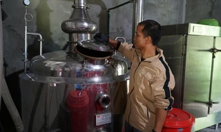 Hành trình 10 năm thoát nghèo ngoạn mục của chàng trai Cơ Tu 