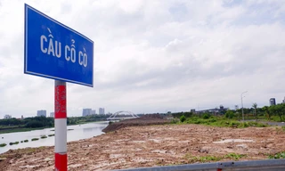 Đà Nẵng giám sát chặt việc đổ đất ở sông Cổ Cò