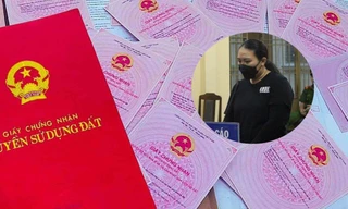 Đấu giá 11 lô đất của 'nữ quái' lừa đảo bán đất ảo ở Đà Nẵng