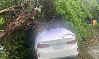 Liên tiếp cây xanh ngã đè bẹp ô tô trong mưa bão ở Đà Nẵng 