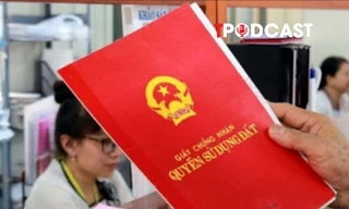 Một số trường hợp vi phạm đất đai vẫn được xem xét cấp sổ đỏ từ năm 2026