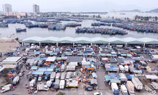 Cảng cá lớn nhất miền Trung sẽ thành cảng du lịch