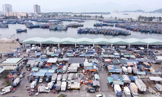 Cảng cá lớn nhất miền Trung sẽ thành cảng du lịch