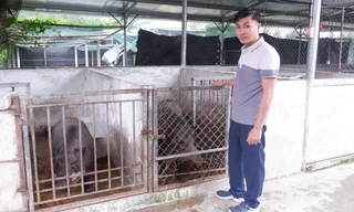 Người trẻ 'đánh thức' vùng đất hoang bằng nông nghiệp tuần hoàn