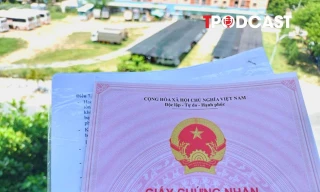 Chậm nộp hồ sơ sẽ mất quyền lợi giảm tiền thuê đất sau ngày 30/11/2025