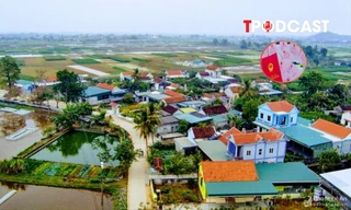 Nhà xây trái phép trên đất nông nghiệp trước 1/7/2014 sẽ được xử lý thế nào?