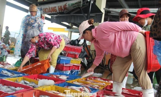 Chợ cá lớn nhất miền Trung 'cháy hàng' khi bão số 5 cận kề