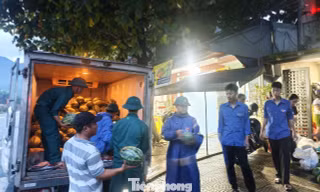 Bão số 5 áp sát, cả phường ngược xuôi giải cứu dưa hấu 