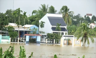 Người dân Đà Nẵng chuẩn bị lương thực ít nhất 3 ngày ứng phó bão số 12 