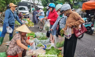 'Mấy hôm nay mua rau đắt hơn cá thịt' 