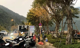 Đà Nẵng dẹp hàng rong tung hoành trên bán đảo Sơn Trà