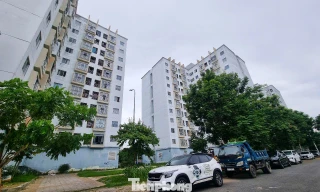 Giá nhà chung cư Đà Nẵng ‘nhảy múa’ chóng mặt