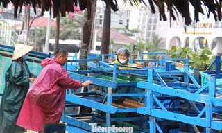 Hàng quán ven biển Đà Nẵng hối hả 'chạy bão'