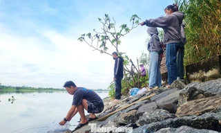 Rằm tháng Bảy, người dân Đà Nẵng đổ ra bờ sông thả hàng trăm kg cá phóng sinh