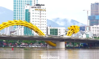 Đà Nẵng muốn là gì trên bản đồ thế giới?