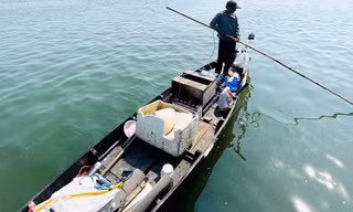 Dùng điện châm cá trên sông, người đàn ông bị xử phạt 7,5 triệu đồng