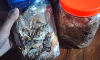  3 trẻ ở Đà Nẵng nhập viện cấp cứu sau khi ăn cá ủ chua