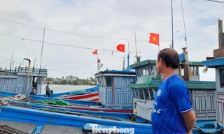 Giá xăng dầu tăng vọt, ngư dân 'cân não' trước chuyến biển đầu năm