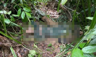 Tìm thấy thi thể người đàn ông sau 4 ngày vào rừng mất tích