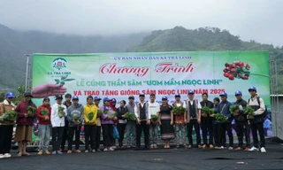 Người dân nhận sâm Ngọc linh
